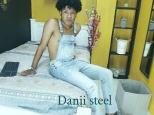 Danii_steel