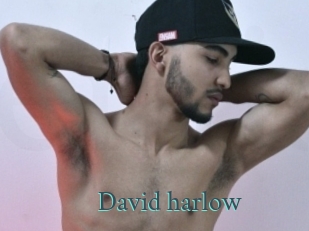 david_harlow En live show