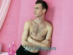 Davidhaynes