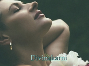 Divinakarni