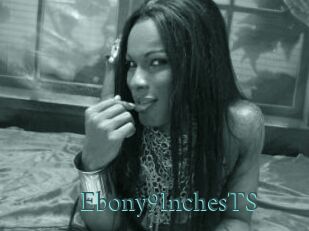 Ebony9InchesTS