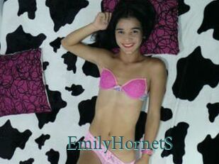 EmilyHornetS