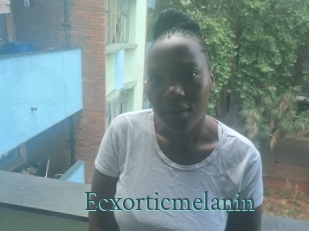 Ecxorticmelanin