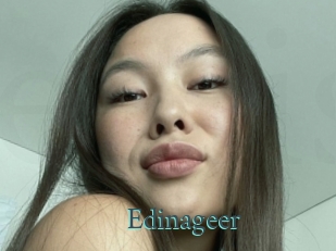 Edinageer