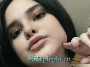Editagleghorn