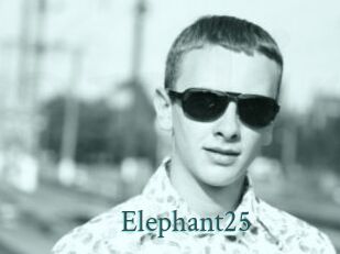 Elephant25