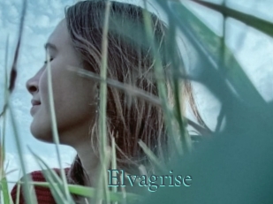 elvagrise En live show