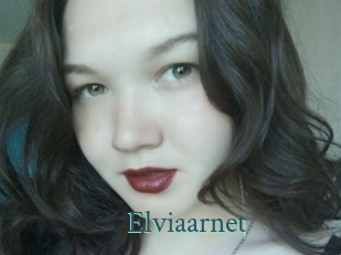 Elviaarnet