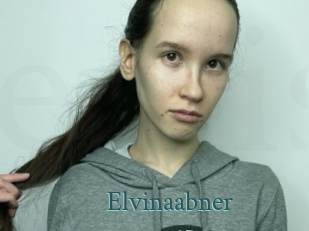 Elvinaabner