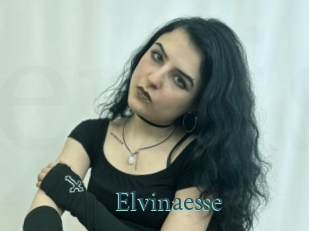 Elvinaesse