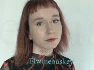 Elwinebuskey