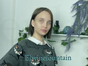 Elwinefountain