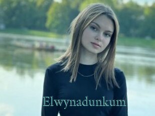 Elwynadunkum