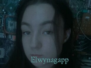 Elwynagapp
