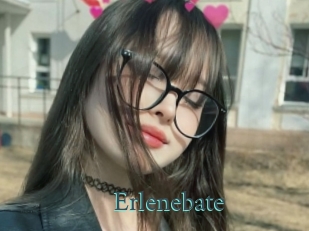 Erlenebate