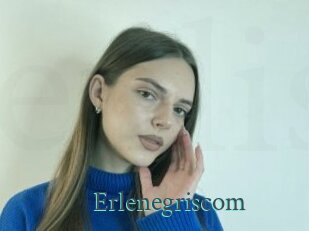 Erlenegriscom