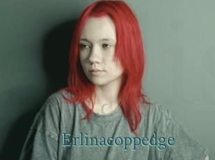 Erlinacoppedge