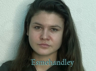 Esmehandley