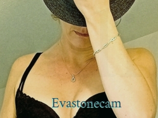 Evastonecam
