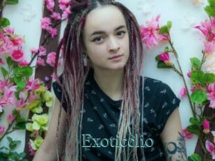 Exoticclio