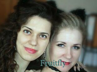 Fruitfly