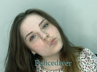 Felicedryer