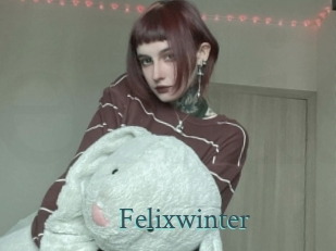 Felixwinter