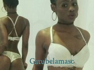 Gatubela_masc