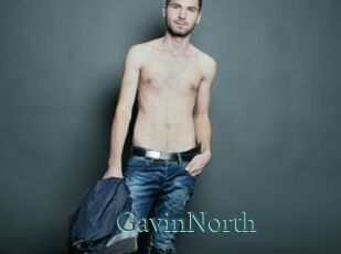 GavinNorth