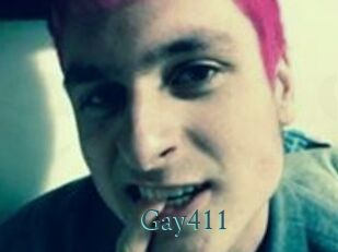 Gay411