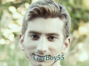 GayBoy55