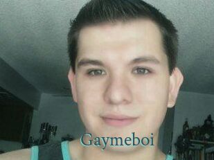 Gaymeboi