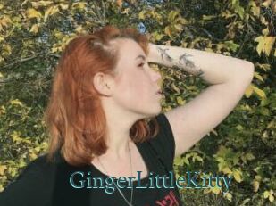 GingerLittleKitty