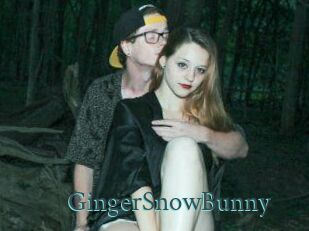 GingerSnowBunny