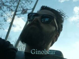 Ginobear