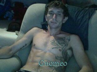 Gnomeo En live show