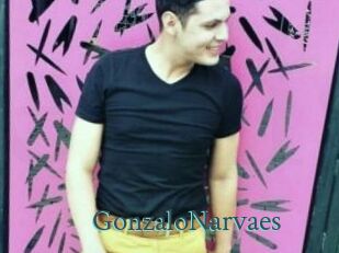 GonzaloNarvaes