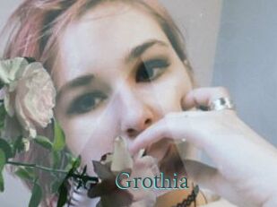 Grothia