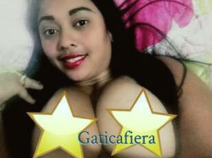 Gaticafiera