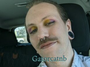 Gatorcatnb