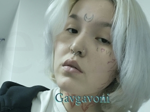 Gavgavoni
