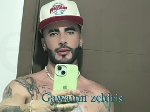 Gawainn_zeldris