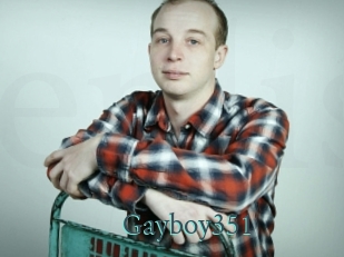 Gayboy351