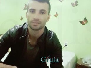 Gruia