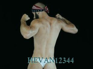 HEVAN12344