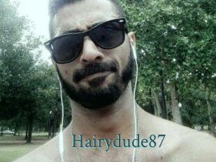 Hairydude87