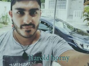 Harold_horny