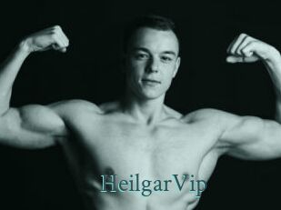 HeilgarVip