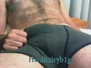 hardhairyb1g En live show