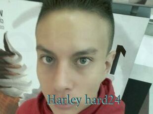 Harley_hard24